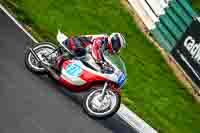 Vintage-motorcycle-club;eventdigitalimages;mallory-park;mallory-park-trackday-photographs;no-limits-trackdays;peter-wileman-photography;trackday-digital-images;trackday-photos;vmcc-festival-1000-bikes-photographs